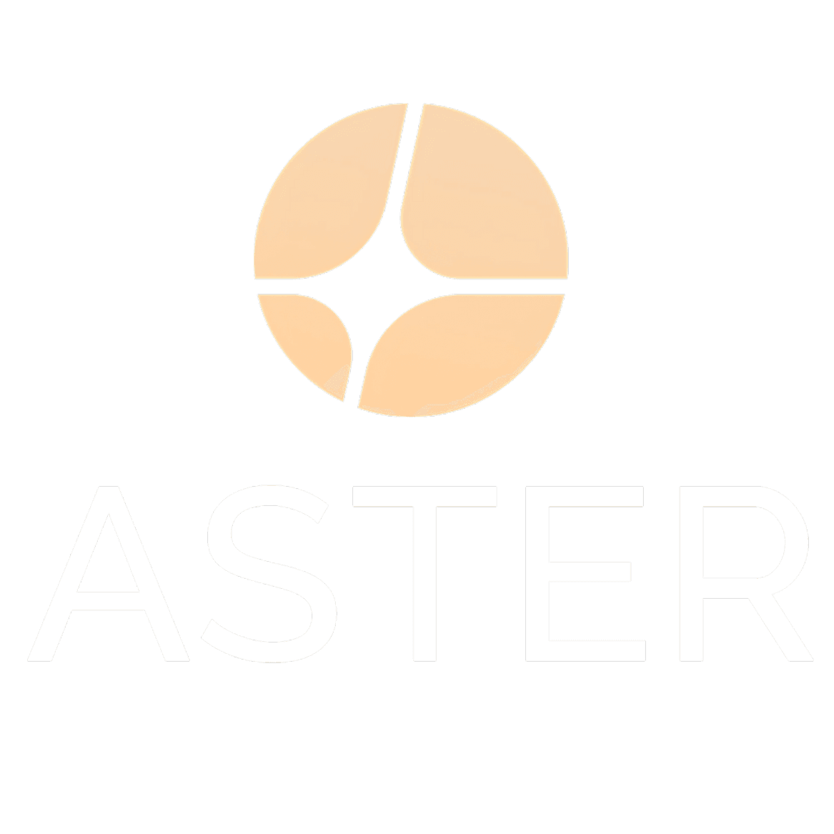 Aster perp venue